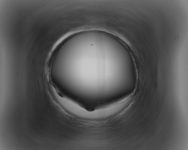 X0000083021510200703021951