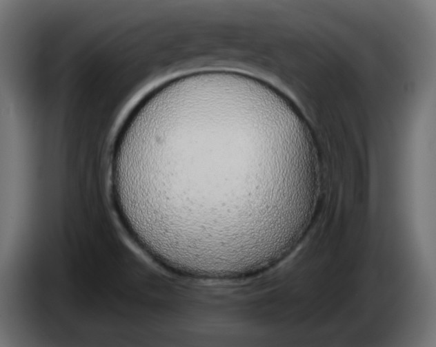 X0000083021511200703021951