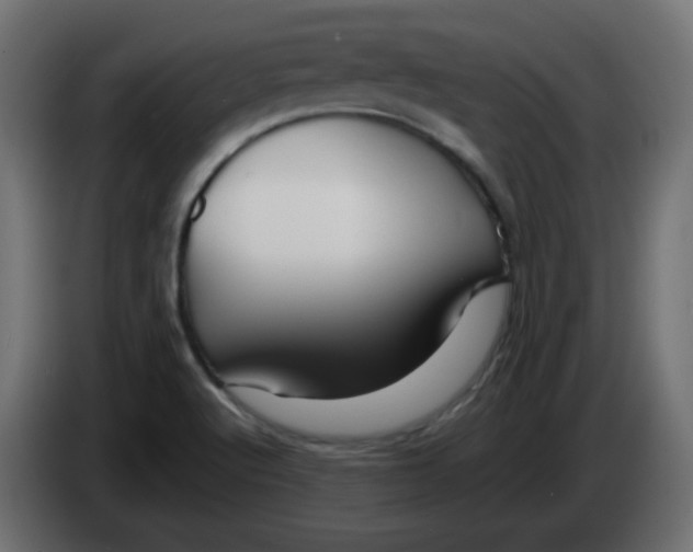 X0000083021512200703021951
