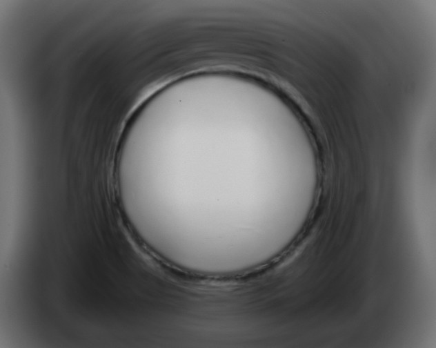 X0000083021513200703021951