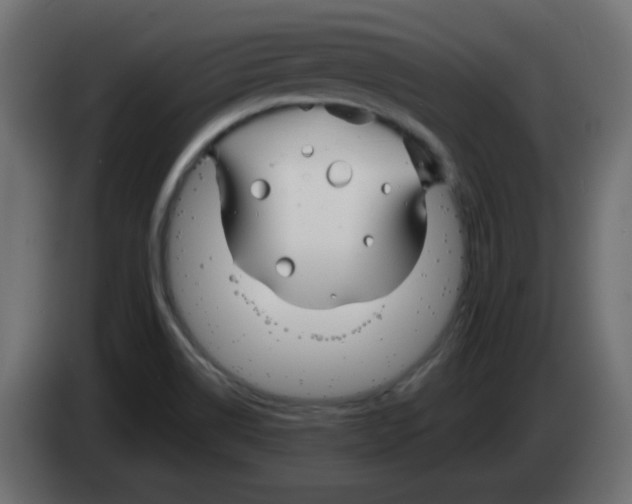 X0000083021514200703021951