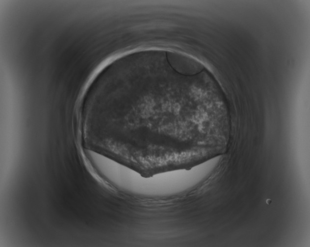 X0000083021515200703021951