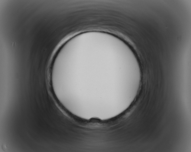 X0000083021517200703021951