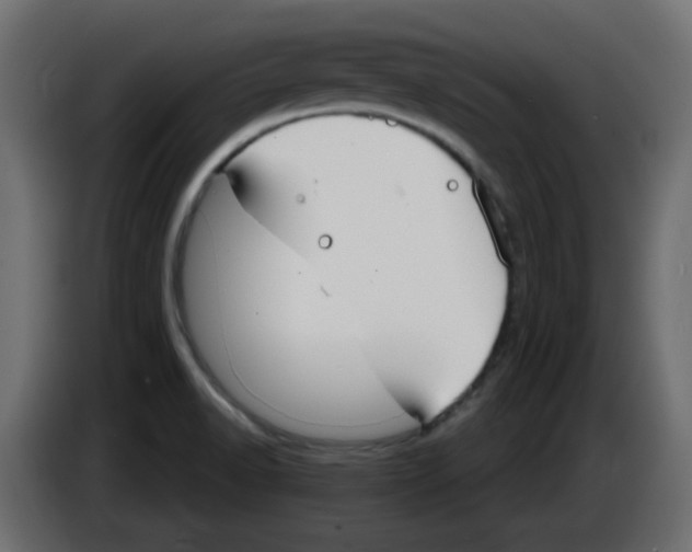 X0000083021518200703021951