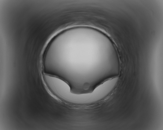 X0000083021519200703021951