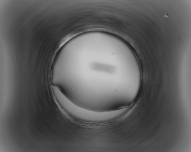 X0000083021521200703021951