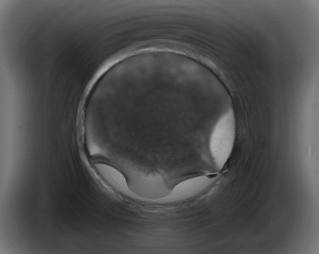 X0000083021522200703021951