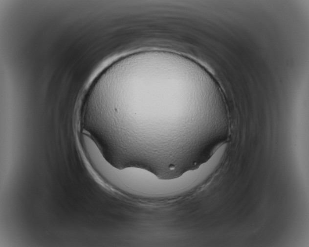 X0000083021523200703021951
