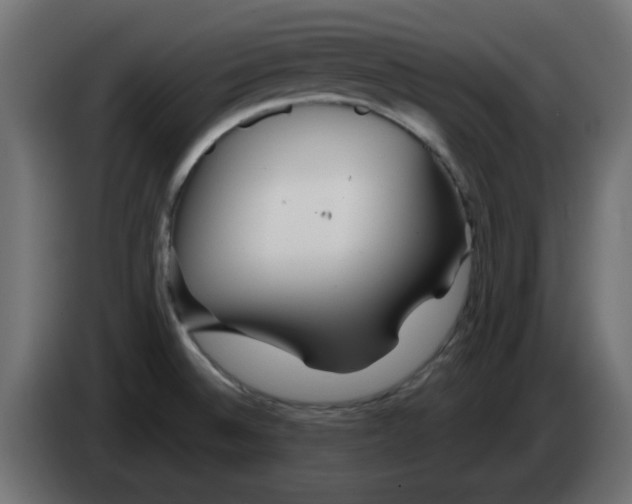 X0000083021524200703021951