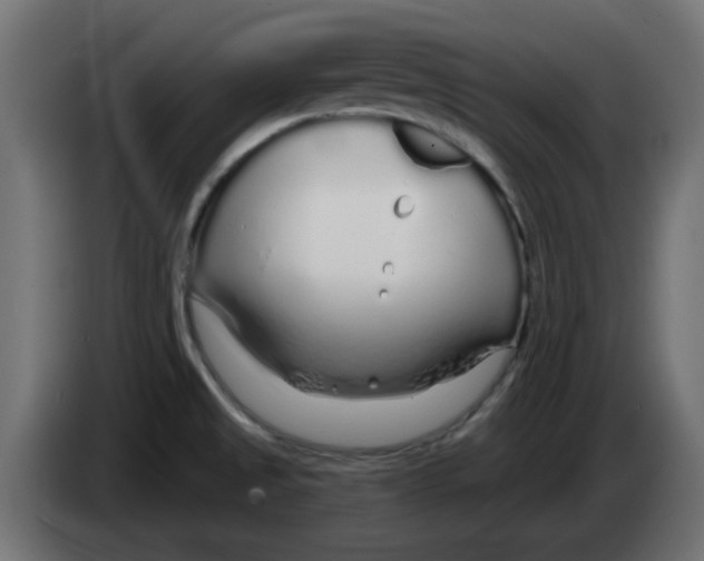 X0000083021525200703021951