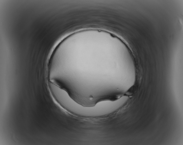 X0000083021527200703021951