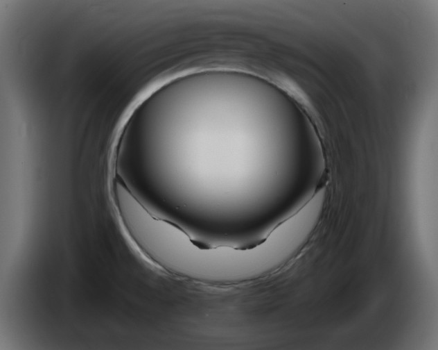X0000083021528200703021951
