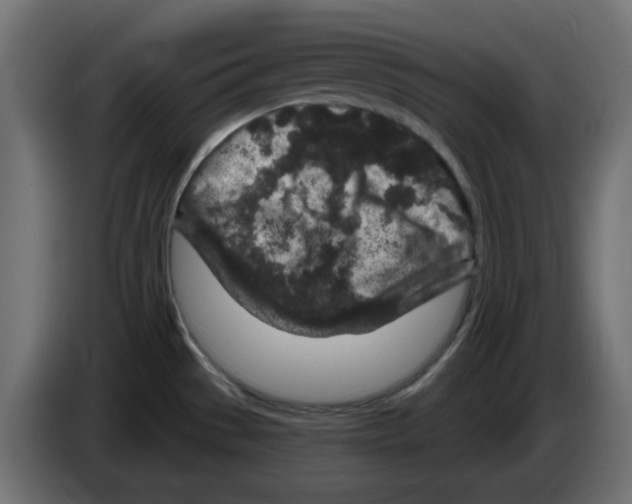 X0000083021529200703021951