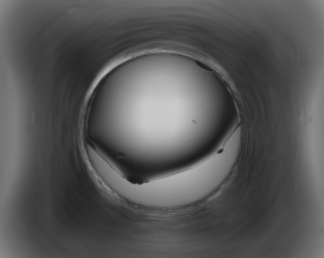 X0000083021530200703021951