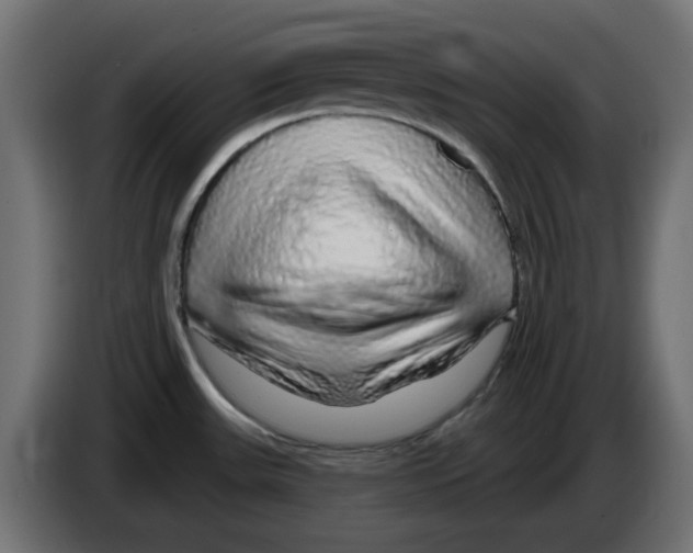 X0000083021531200703021951