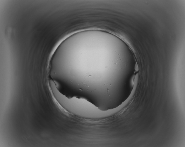 X0000083021532200703021951