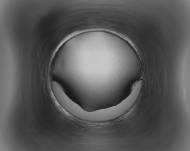 X0000083021534200703021951