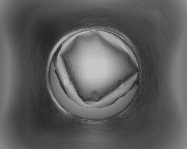 X0000083021536200703021951