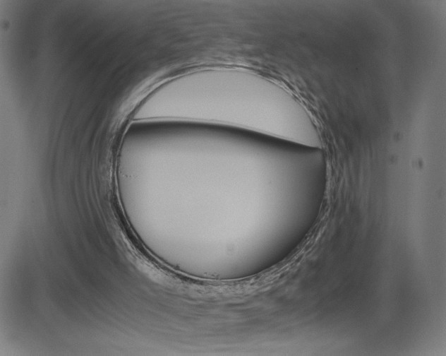 X0000083030005200702020929
