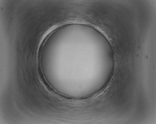 X0000083030008200702020929