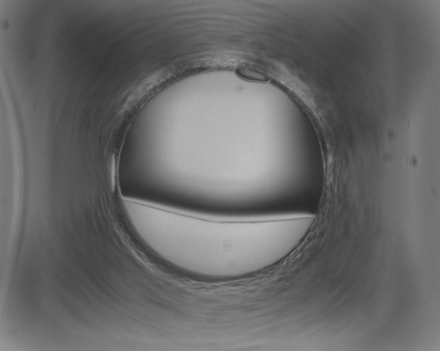 X0000083030013200702020929