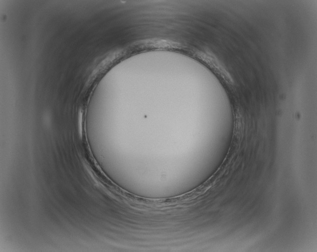 X0000083030014200702020929