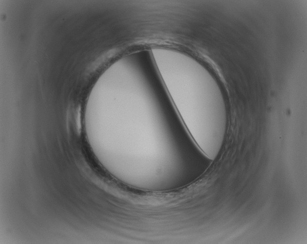 X0000083030020200702020929