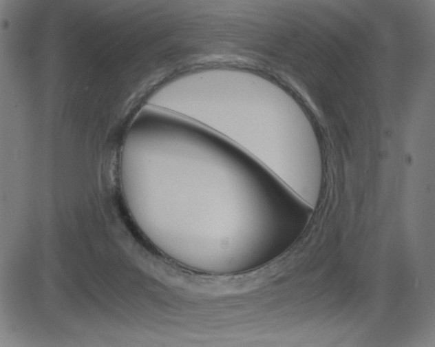 X0000083030023200702020929