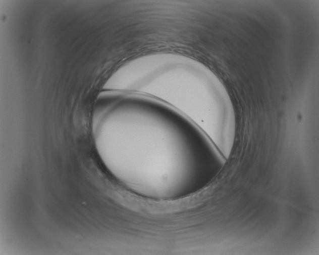 X0000083030039200702020929