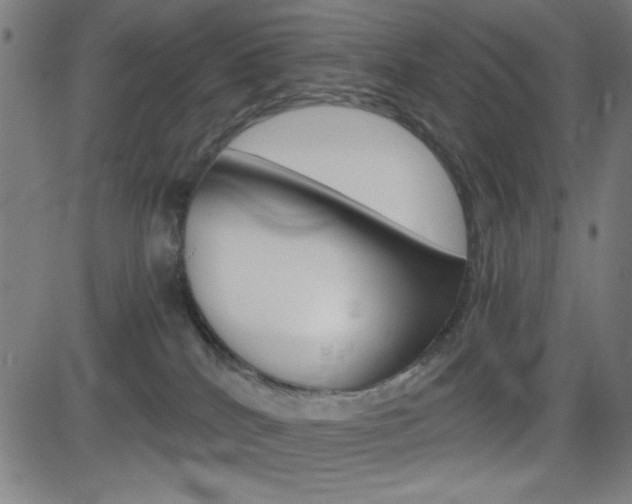 X0000083030040200702020929