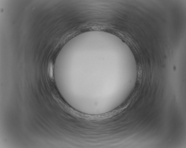 X0000083030046200702020928