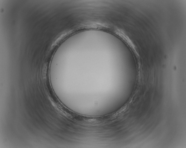 X0000083030058200702020928