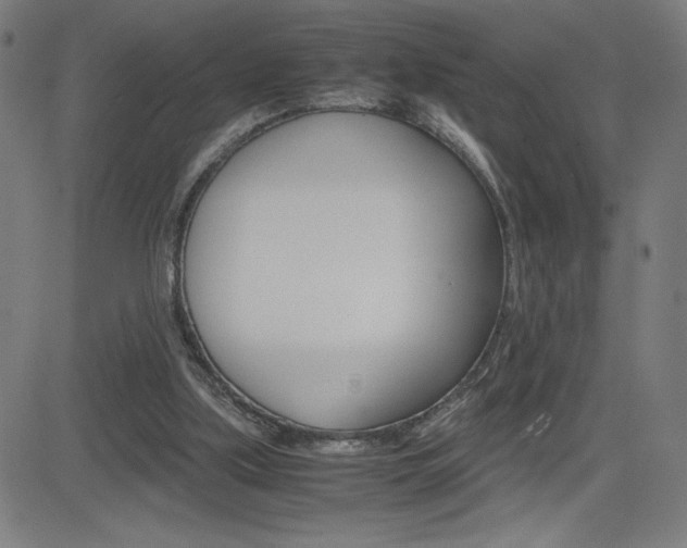X0000083030059200702020928
