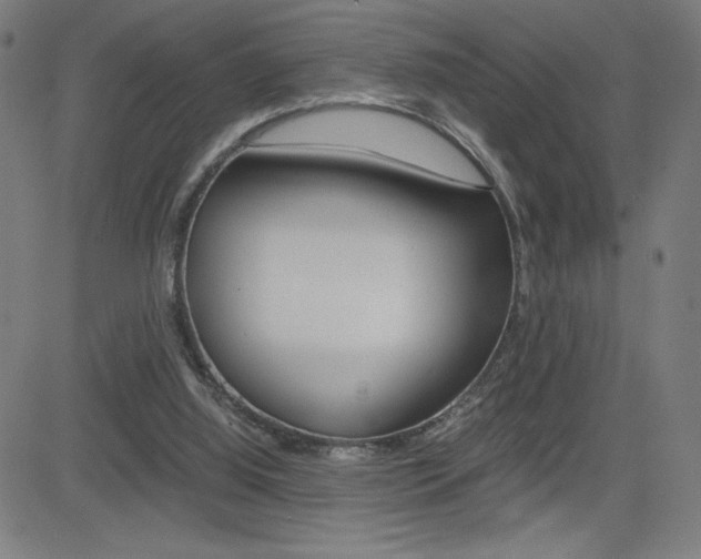X0000083030060200702020928