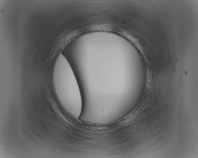 X0000083030061200702020928