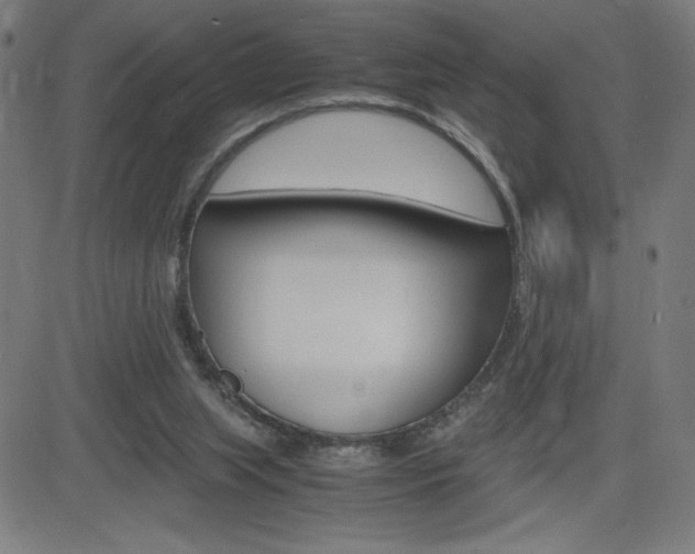 X0000083030063200702020928