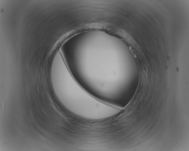 X0000083030064200702020928