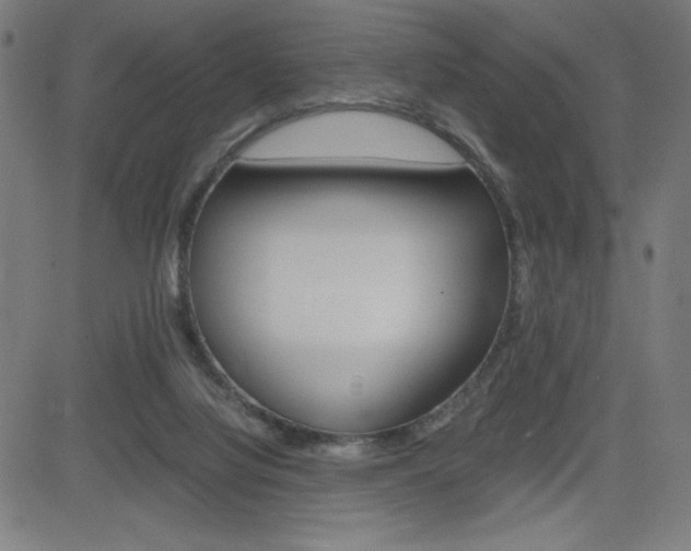 X0000083030068200702020928