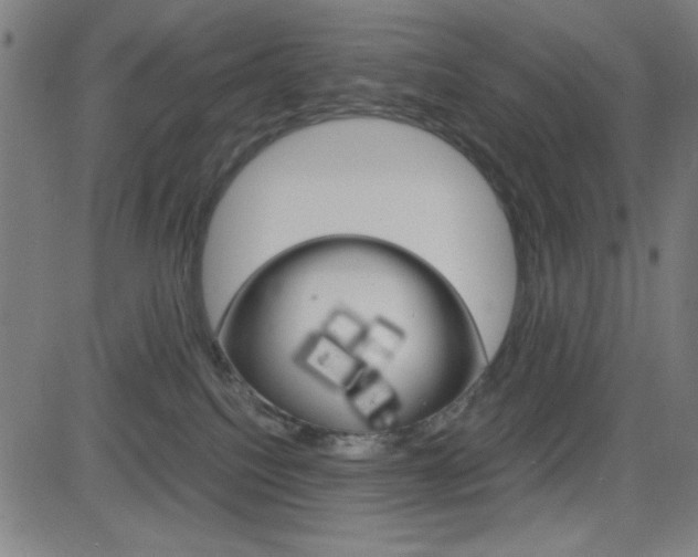 X0000083030088200702020928