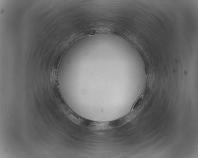 X0000083030093200702020928