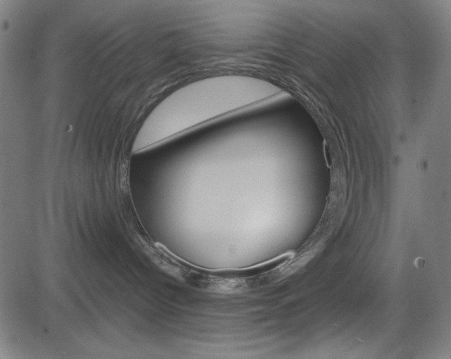 X0000083030096200702020928