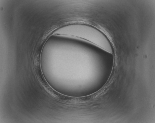 X0000083030105200702020928