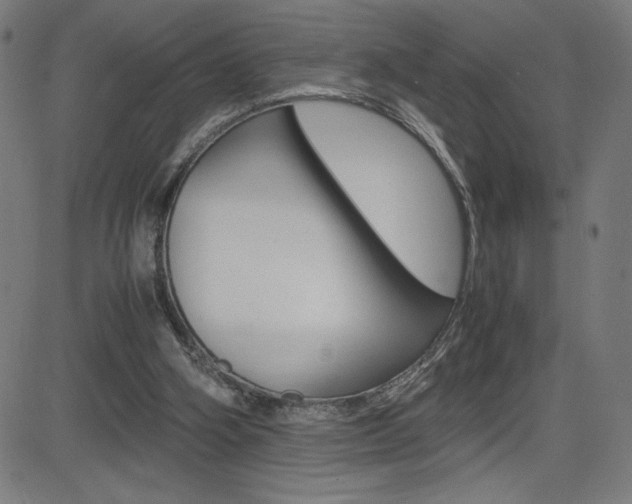 X0000083030106200702020927