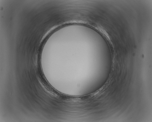 X0000083030108200702020927