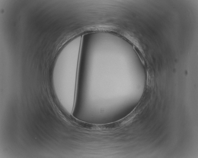 X0000083030109200702020927