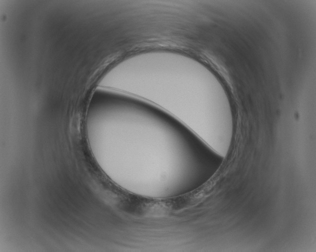 X0000083030115200702020927