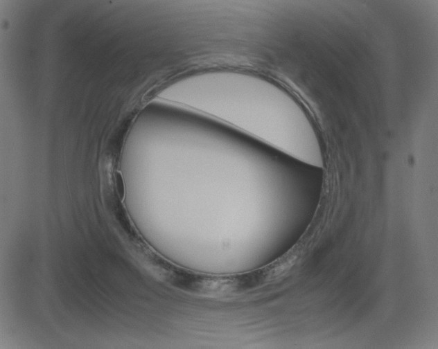 X0000083030117200702020927
