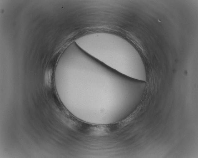 X0000083030118200702020927