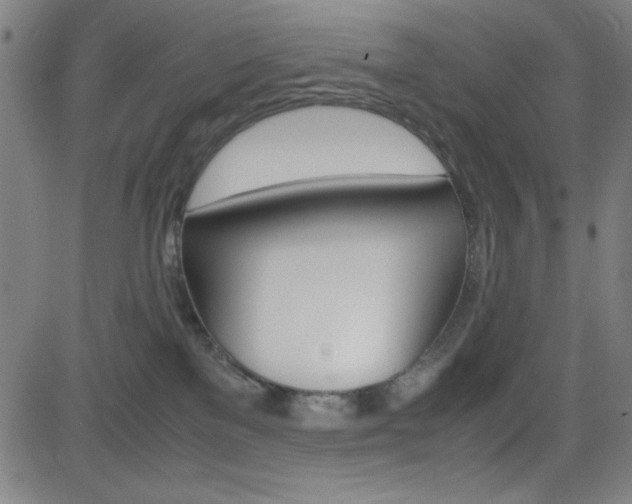 X0000083030137200702020927