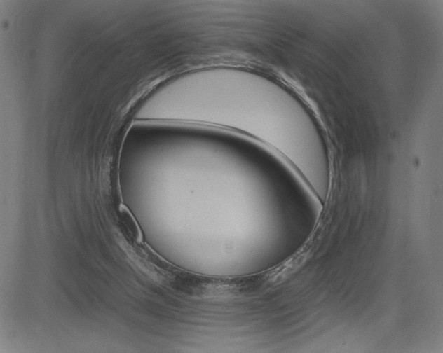 X0000083030154200702020926